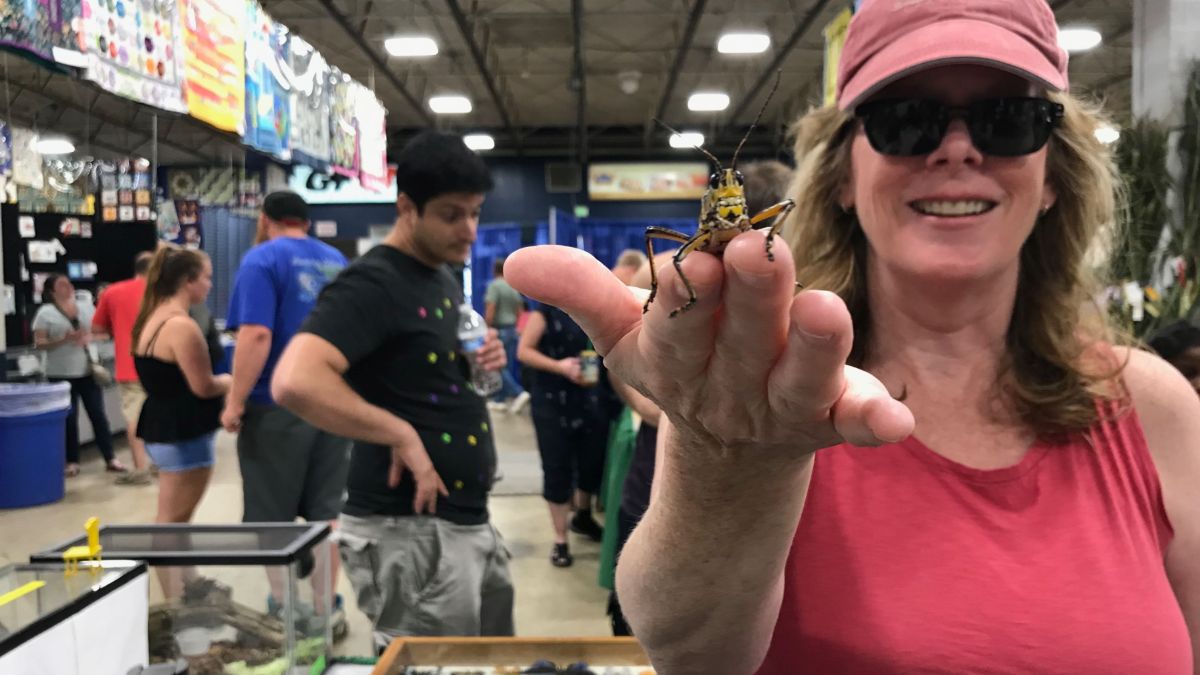 Lindsay Barranco presents lubber grasshopper at booth