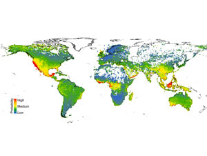This map shows the predicted levels of risk to more than 150,000 species of plants located worldwide.