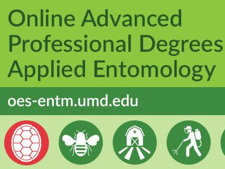 OES Applied Entomology Flyer 