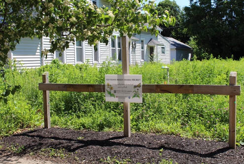 “Cues of care” included signage, fencing, and mulching  (Photo Credit: Mary Gardiner)