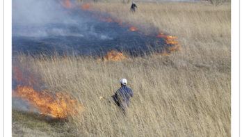 Figure 3. A prescribed or controlled burn in the Midwest for purposes of forest management, farming or prairie restoration. Photo credit: R. Hahn